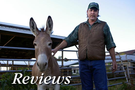 reviews